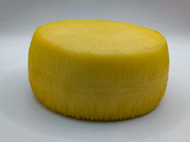 QUESO SEMICURADO  REDONDO