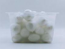 MOZZARELLA FIORDILATTE BOLITA TARRINA 300 GR