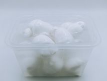 MOZZARELLA FIORDILATTE NODINO 50 GR BANDEJA 1 KG