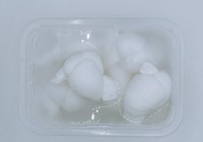 MOZZARELLA FIORDILATTE NODINO 50 GR TARRINA 500GR