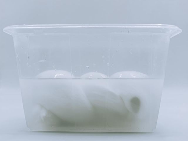 MOZZARELLA FIORDILATTE TRECCIA 500 GR TARRINA