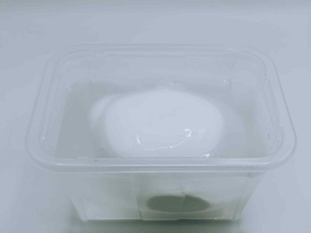 MOZZARELLA FIORDILATTE TARRINA 500GR