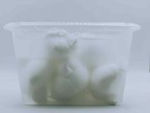 MOZZARELLA FIORDILATTE NODINO 10g TARRINA 500GR