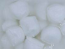 MOZZARELLA FIORDILATTE BANDEJA 3.2 FORMATO 12X250 