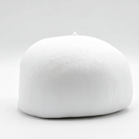 MOZZARELLA FIORDILATTE SECA 400 g