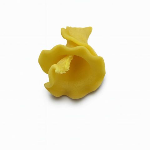 CAMPANELLE